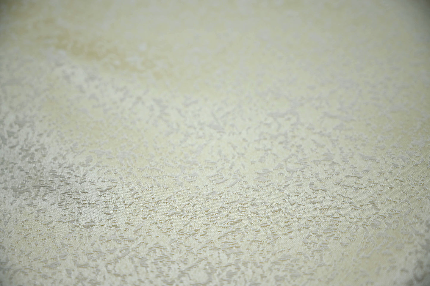 Close-up of a textured beige surface
