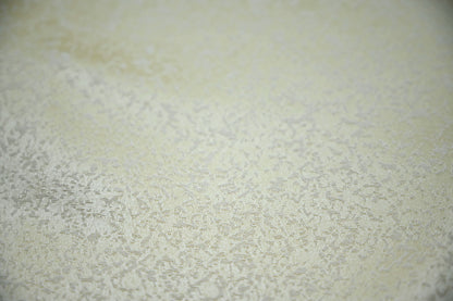 Close-up of a textured beige surface